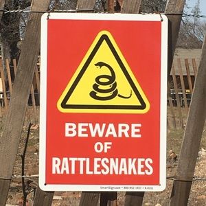 Meet your Posher, Mackenzie